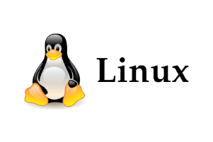 linux master ciberseguridad