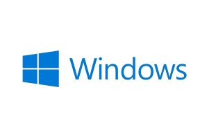 windows master ciberseguridad